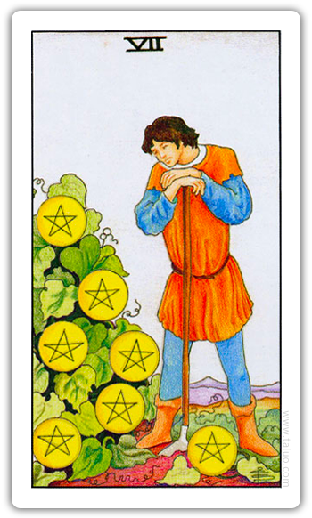 星币七